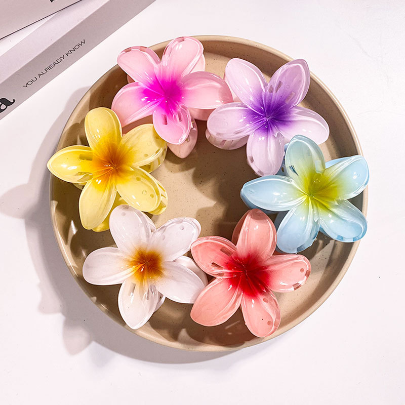 1/6 Uds 8CM pinzas para el cab - Women Accessories In Wholesale reseña y precio